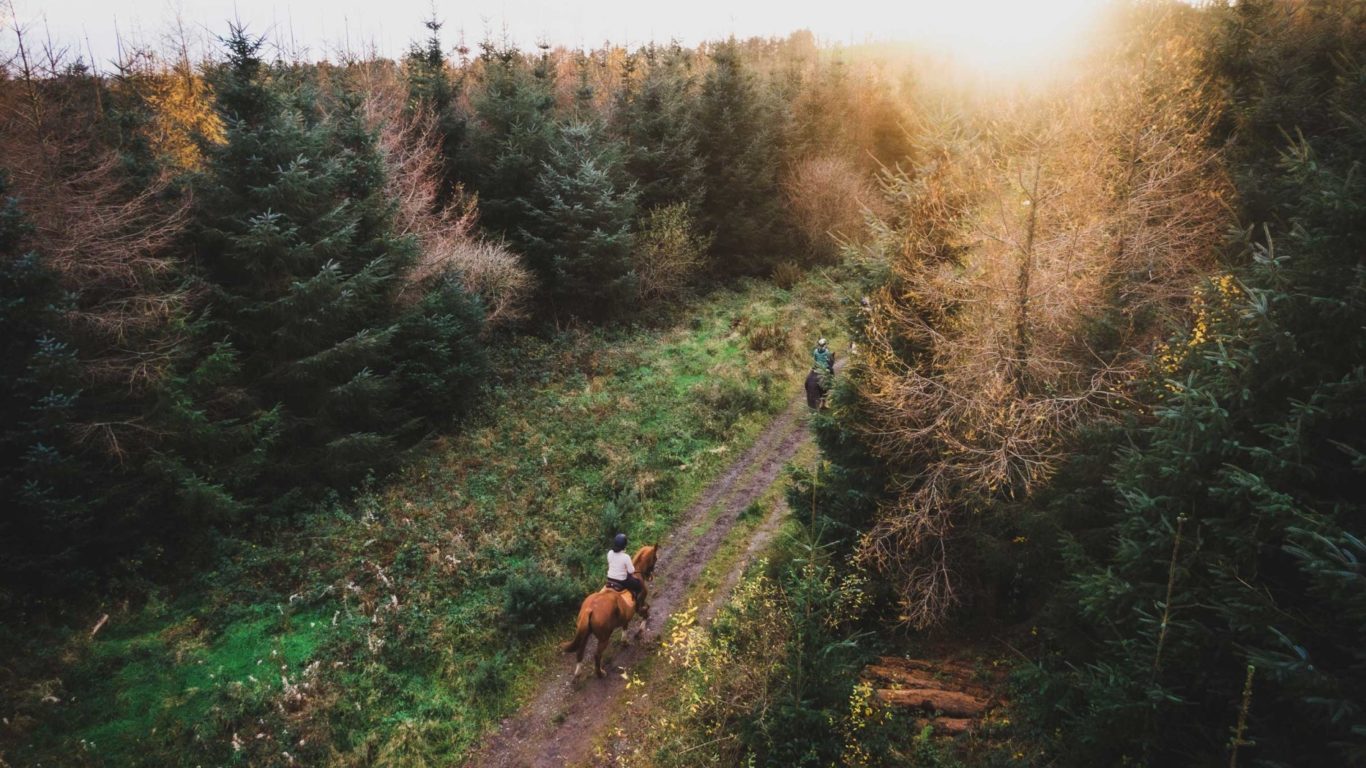 horse-riding-wicklow